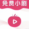 麻豆传媒视频APP应用